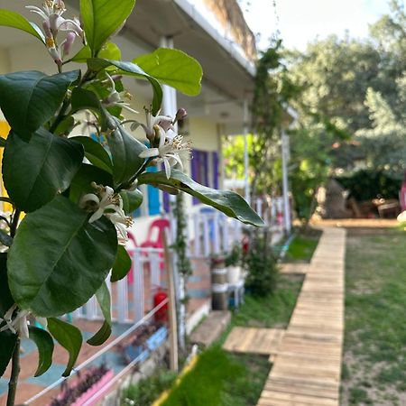Gaya Pansiyon Cirali Kemer Zewnętrze zdjęcie